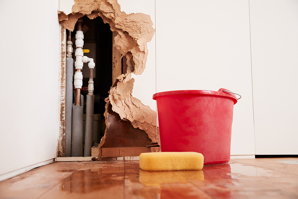 What a Leak Could Really Cost You | Tips from Your San Antonio, TX Plumber