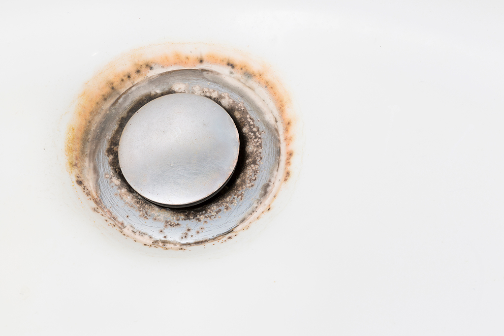 Drain Cleaning Service: The Dangers Of Having Dirty Drains And What You Can Do About Them | San Antonio, TX