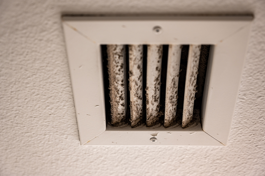 Why Is Mold Growing In The Ducts, And How Can Duct Cleaning Service Help Prevent Future Growth? | San Antonio, TX