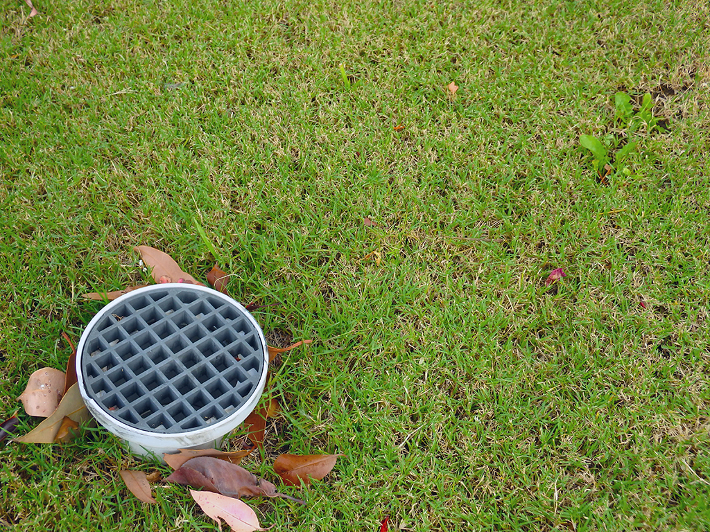 A Professional Plumber’s Guide To Yard Drains: Everything You Need to Know | Cibolo, TX