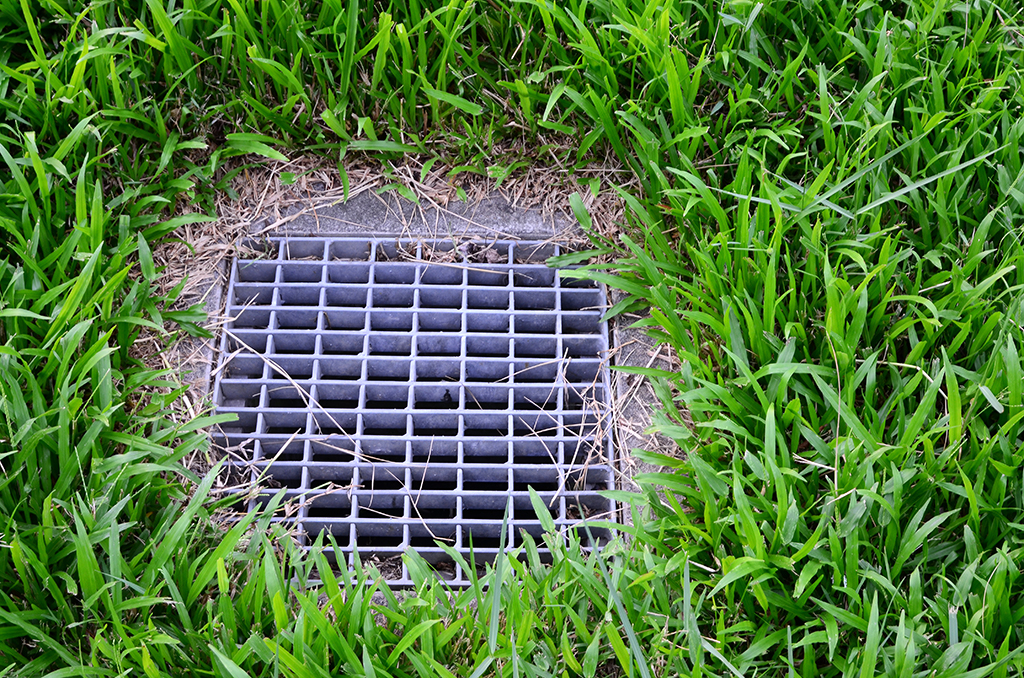 Signs Your Yard Drains Require The Attention Of An Emergency Plumber | San Antonio, TX