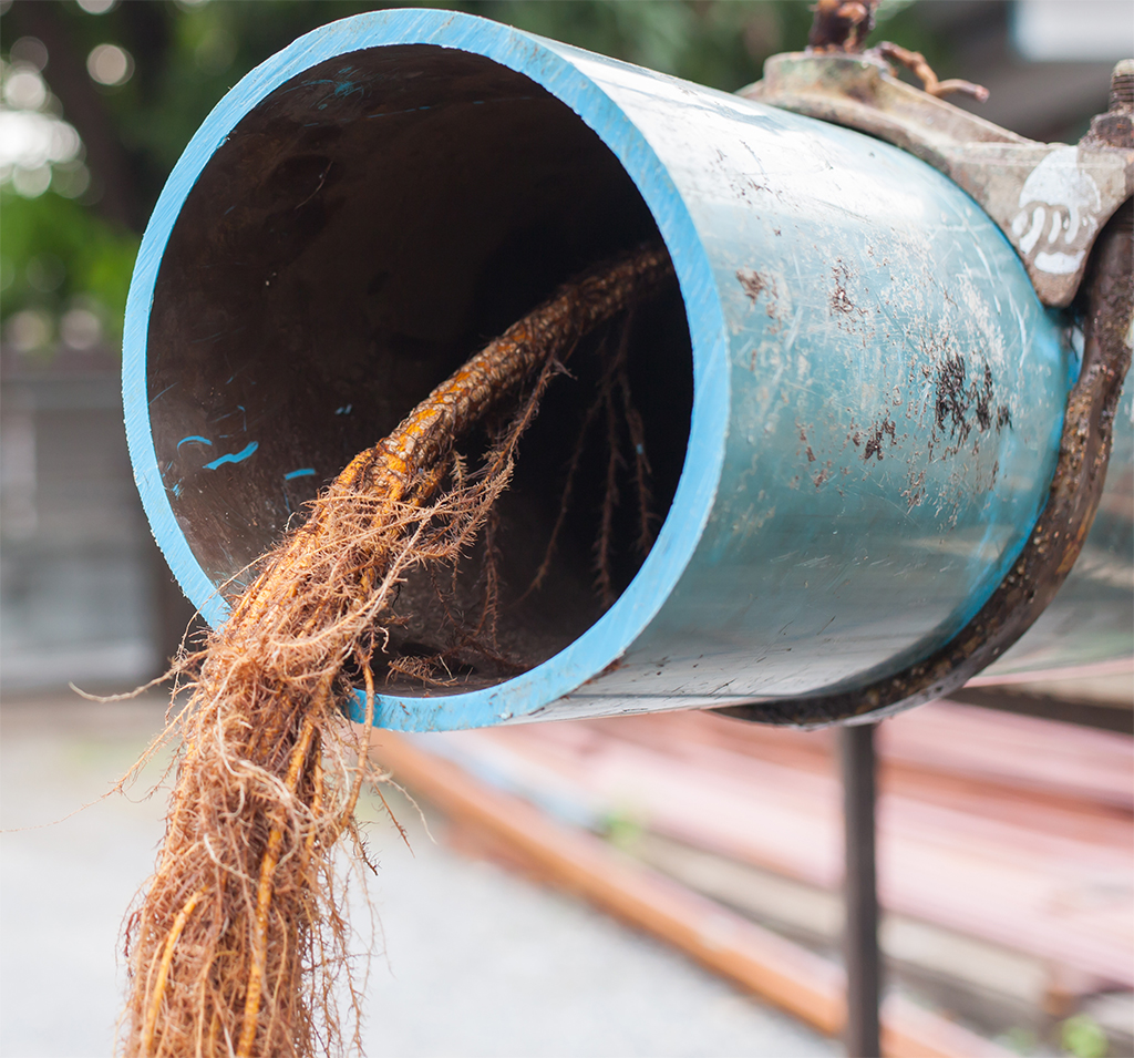 Drain Cleaning Service Gets To The Root Of The Problem (Tree Roots, That Is) | Helotes, TX