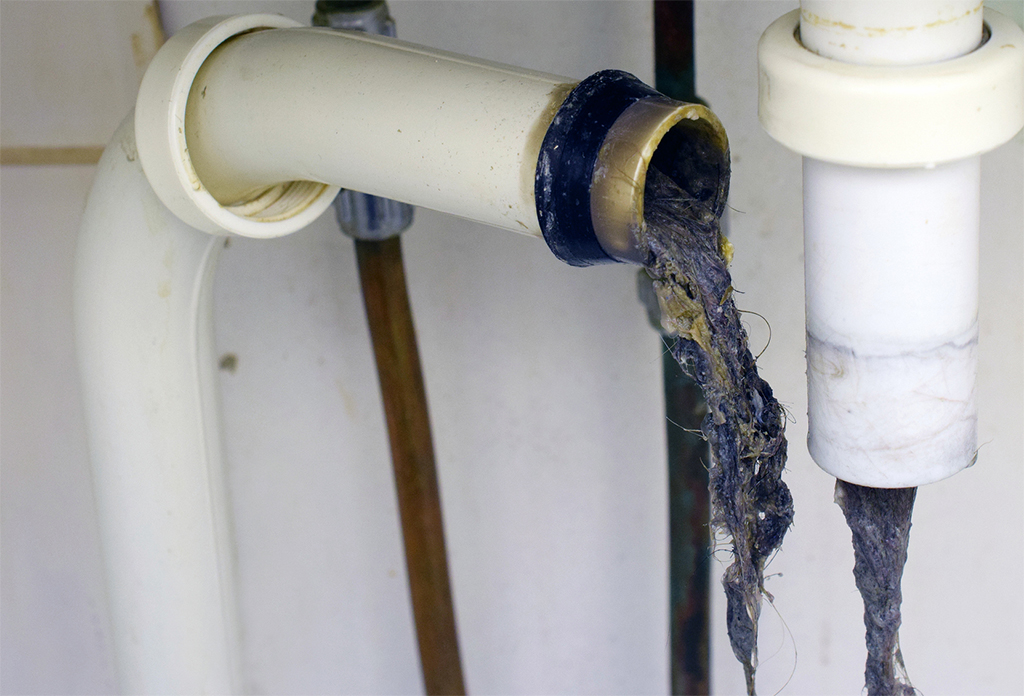 Here’s What Can Go Wrong If You Skip Routine Drain Cleaning Service | Universal City, TX
