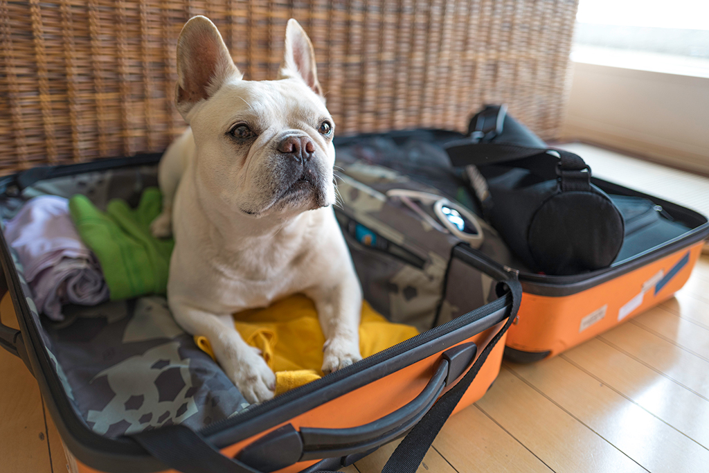 Going On Vacation? Here Is Your Plumbing To-Do List So You Don’t Need A Plumber When You Return  | Boerne, TX