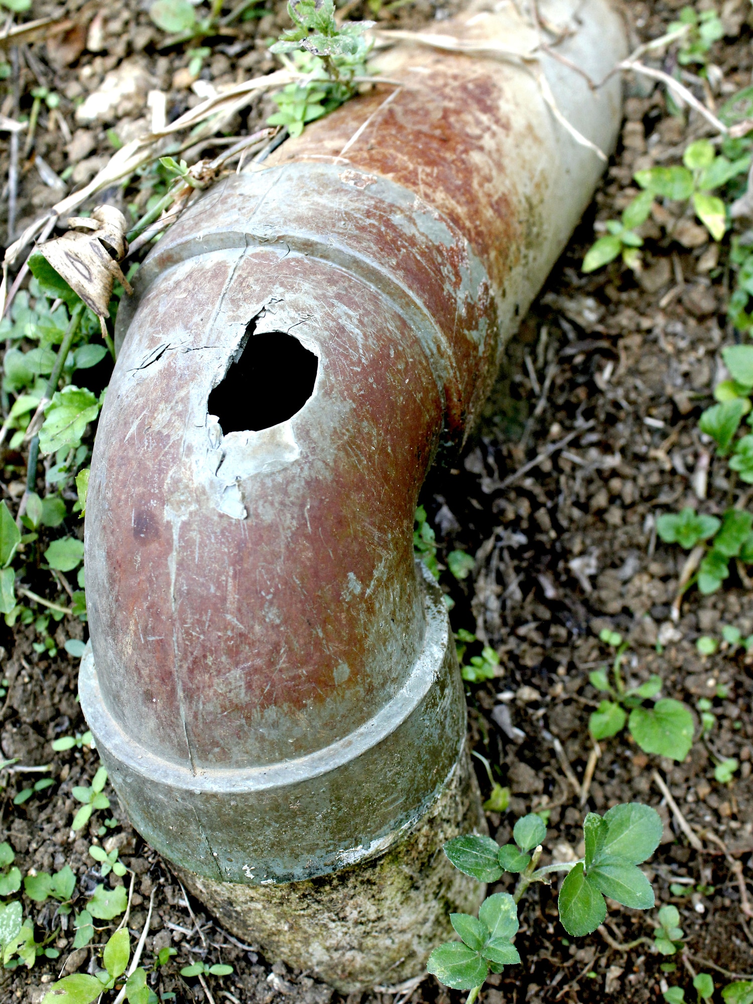 Broken sewer line.