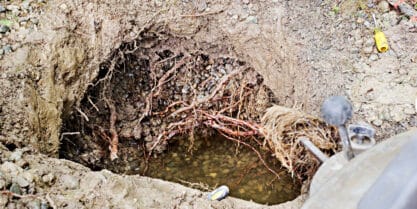 Root intrusion removal for sewer lines.