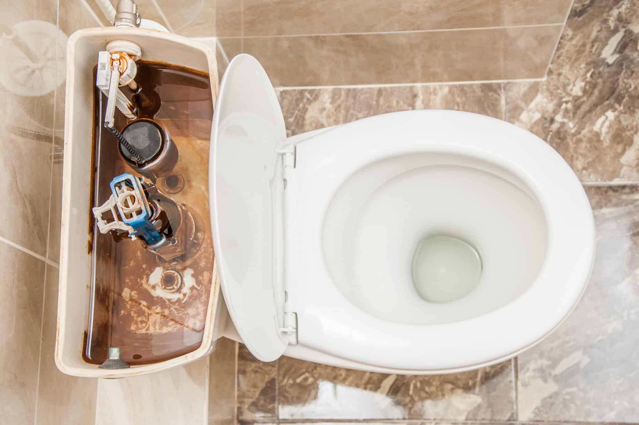 Bathroom toilet fill valve noise.